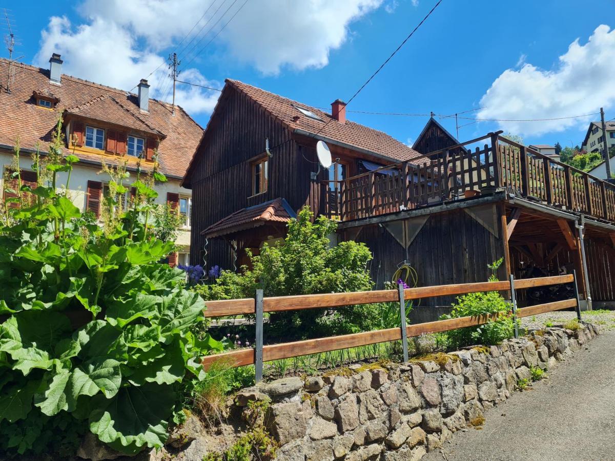 Le Chalet Du Tanet Spa Sauna Terrasse En Alsace Soultzeren Exterior foto